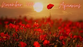 Aquarius November 2020 - big changes