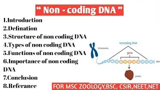 Non - Coding DNA |  Structure | Types of non coding DNA | Function | Importance