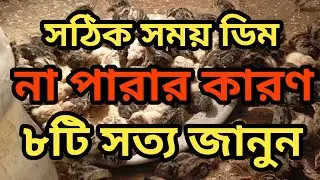 ডিন কেন কম দেয় সত্যটা জানেন। এরকম কেহ বলবে না। তিন ভাই স্বপ্ন পূরণ পয়সারহাট বরিশাল। স্বপ্ন পূরণ 