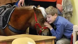 Miniature service horse makes her first visit to Winterberry Charter School