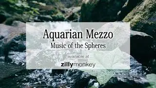 Listen to Aquarian Mezzo Wind Chime - Music of the Spheres