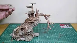 Cara membuat hardscape bonsai on the rock untuk aquascape