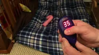CISNO Pet Chew Resistant Waterproof Fleece Covered Heating Pad Review