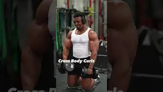 BICEPS 🔥 | 4 Curl Variations (dumbbells only) Get Bigger Biceps