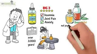 CBD Oil Explained to Minneapolis MN