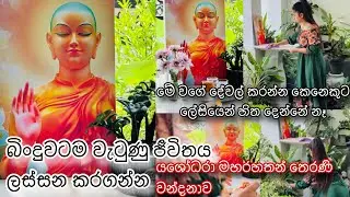 පිංවන්තයන්ට විතරයී බලන්න හිත දෙන්නේ🫵|යශෝධරා මහරහත් තෙරනි වන්දනාව🌸|රාහුල මාතාව🌼|සිංහල|Srilanka🇱🇰