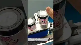 Automatic 2-IN-1 Top And Wraparound Labeling Machine | Flexipack UAE