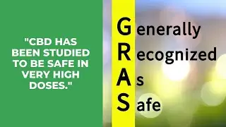 How Much CBD is Safe to Use?