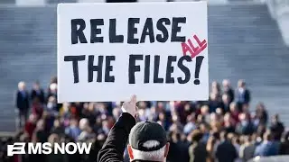 Congress getting to read unredacted Epstein files &lsquo;doesn&rsquo;t fix the cover up&rsquo;: Miles Taylor