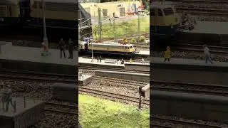 Hohe Taktung der Züge im Miniatur Wunderland, lang Video, am Bahnhof Dammtor #märklin #miwula 