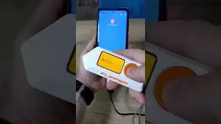 Guessing app's PIN protection using Flipper Zero #shorts #pls subscribe
