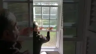 Easy Way To Close Top Sash Window WITHOUT A LADDER - #1 CAUSE OF Cold Air / Draft from Windows
