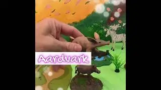 Why Do Aardvarks Have Long Snouts? 🐜 #AardvarkFacts #KidsFun