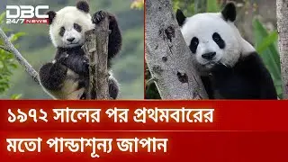 চোখের পানিতে শেষ দুই পান্ডাকে বিদায় জানালো জাপানিরা | Japan | PandaDiplomacy | DBC NEWS