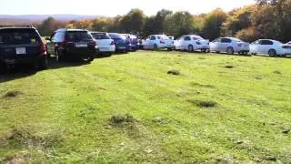 SUBARU club georgia 2014