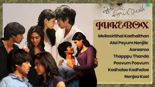 Aadhalal Kadhal Seiveer  Audio Jukebox | Mellasirithal Kadhalthan | Alai Payum Nenjile | Aaraaroo |
