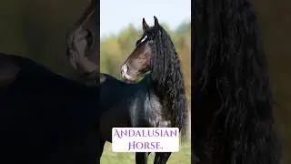 Discover the 7 Most 🤑 Expensive Horse 🐎 Breeds  #shorts #ytshort #short
