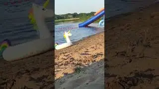 Приключения собачки Бусинки/doggy adventure #видео#дети#приключения #Adventures#video for kids#doggy