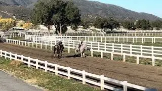 Inside: Hip #162 Spring Moon          Outside: Hip #189 Will Take a Kiss