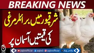 Broiler Chicken Price Hike | Sharaqpur Market Update | Poultry Rates Rise