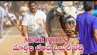 ఎమ్మిగనూరు  సీనియర్ విభాగం 9వ జత 💥mcor ధర్మవరం సుబ్బారెడ్డి 
 🎉అహోబ్బిల &  కరంజయ