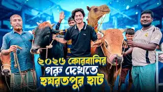 ২০২৬ কোরবানির গরু দেখতে হযরতপুর হাট | Hazratpur Paragram Gorur Haat | Shafin The Vloger Boy |