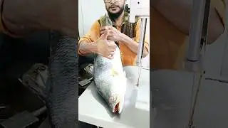 Watch the video of cutting coral fish very quickly with the machine # shorts # #koral #fish