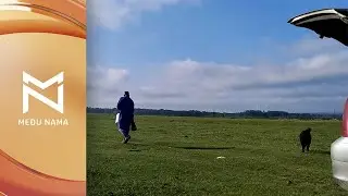 KRČEDINSKA ADA pola godine kasnije