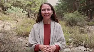 Deepening disenchantment