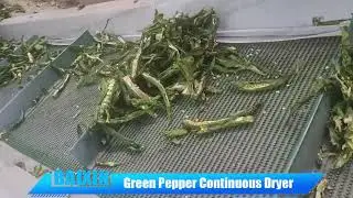 Chilli drying Mesh belt dryer Green Pepper Continuous Dryer 9m*6layers(biomass pellets)