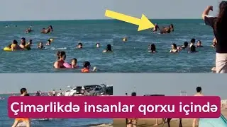 Pirşağı &ccedil;imərliyində BİABIR&Ccedil;ILIQ və TƏHL&Uuml;KƏ: Atlar da insanlara birgə dənizdə &ccedil;imir