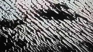 The History Of Apple Pie - Tame (Official Video)