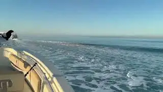 Let's go deep sea fishing and catch some fish