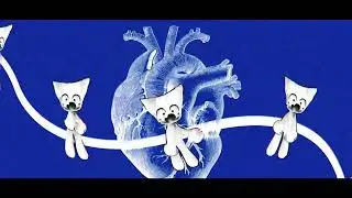 T3MPRR // Femtanyl