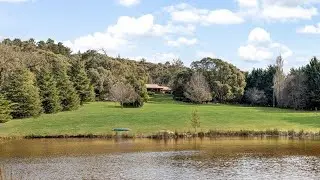 15 Acres (Approx.) Lifestyle Property - 515 Barringo Road, Mount Macedon | Woodards Macedon Ranges