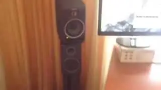 Focal CMS 50 ultra sensitive studio monitors showcase!