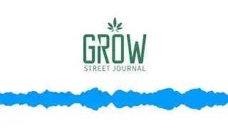 Cannabis Flower accessed on Prescription in the UK