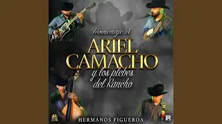 Homenaje A Ariel Camacho y Los Plebes Del Rancho