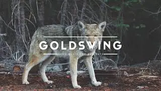Remix GOLDSWING