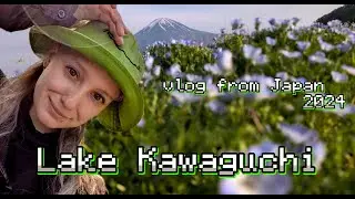 Влог из Японии (3 часть), Фудзикавагучико  | Vlog from Japan[2024], Fujikawaguchiko [Lake Kawaguchi]