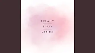 Insomnia Therapy