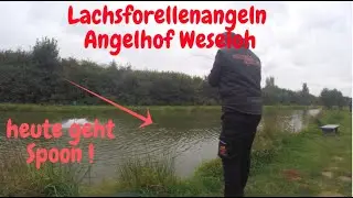 Lachsforellenangeln mit Spoon, Gummik&ouml;der Angelhof Weseloh Lachsforellen Powerbait Big Trout Fishing