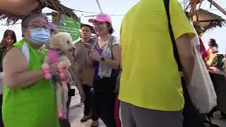 2023 04 15 Singapore Local Farm Festival (Main Video)