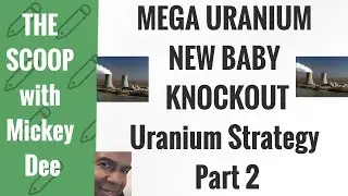 New Baby Knockout / MEGA URANIUM (MGAFF / MGA) Uranium Strategy Part 2 / The Scoop