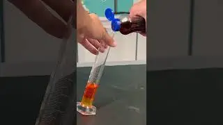 Density Ladder #shorts  #education #scienceactivitiesforkids #sciencefactsforkids