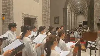 [명동대성당 3545+ 카이로스 성가대] 당신을 향한 노래