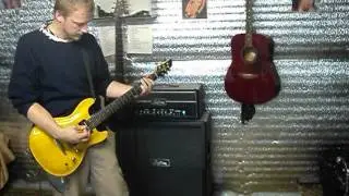 Fernandes APG100 by Boroducci