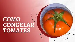 COMO CONGELAR TOMATES