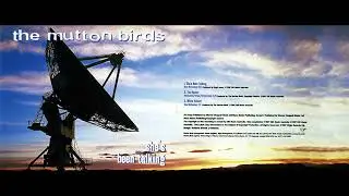 Face in the Paper -The Mutton Birds