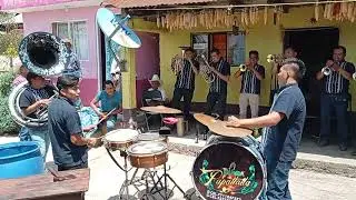Popurrí de Huapangos Con Banda Papatlatla